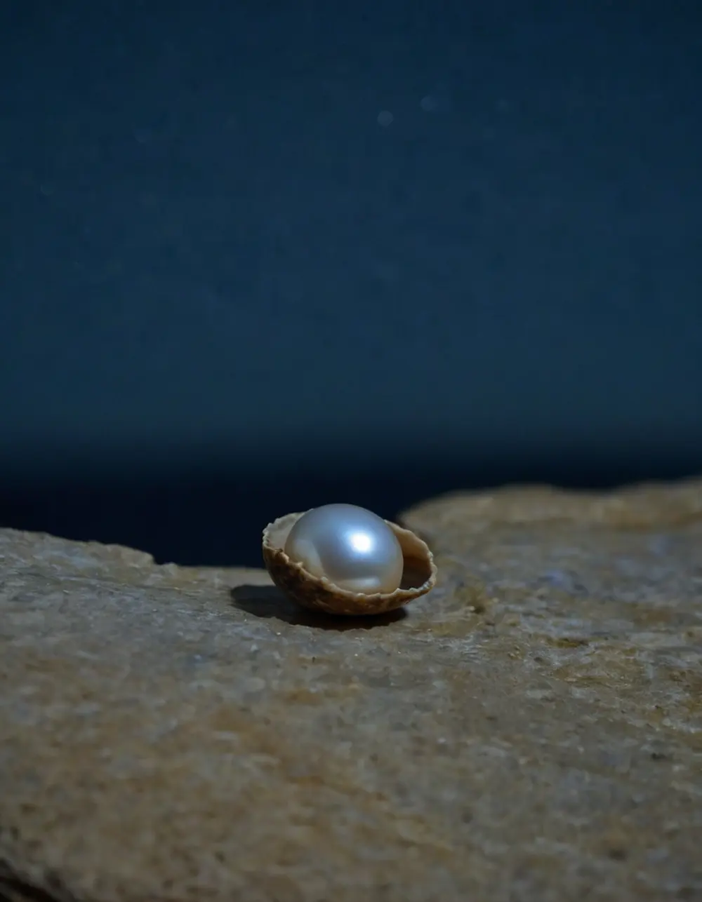 Chitra: pearl in a shell on a stone ledge at night